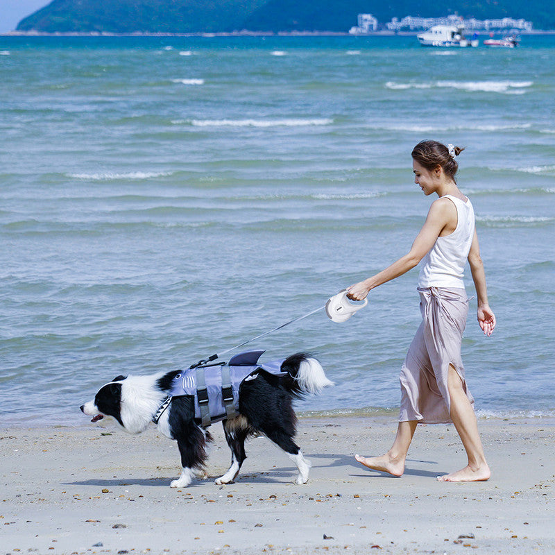 pet products Pet Strong Spring Telescopic Traction Device