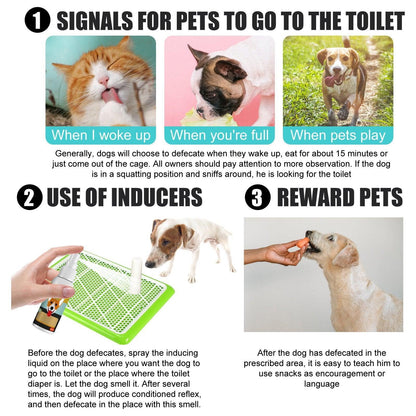 Pet Toilet Training Spray Inducer Dog Poops Cat Pee Urine Positioning Defecation
