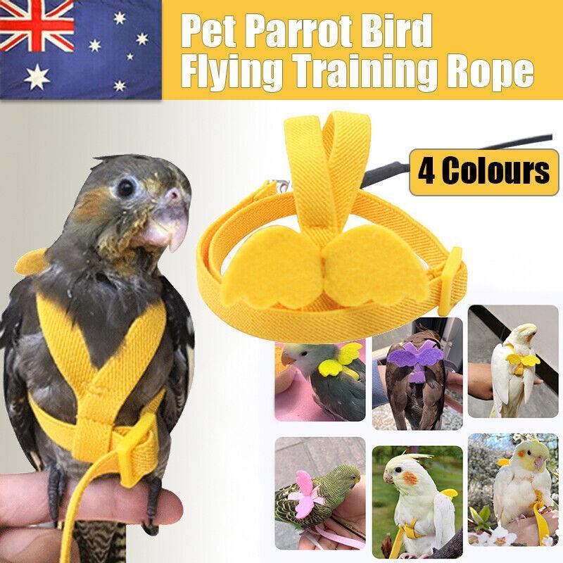 Parrot Bird Harness Leash Adjustable Flying Training Rope Cockatiel Conure Budgie - Blue